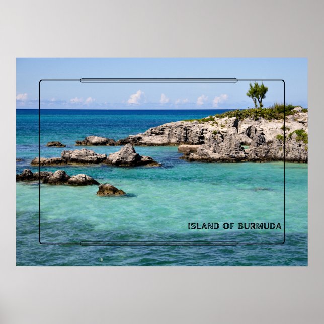 Póster Paraíso tropical (Frente)