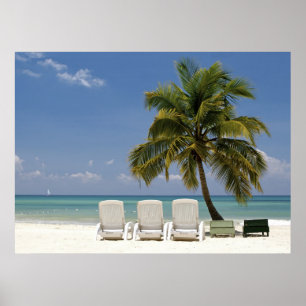 Póster Paraíso tropical