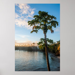 Póster Paraíso Tropical al Atardecer, Fiji