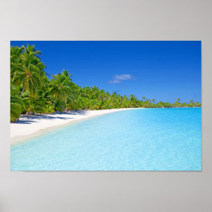 Póster Paraíso tropical de la isla de la palmera verde