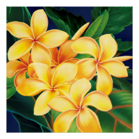 Paraíso tropical Plumeria Hawái