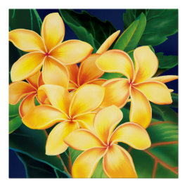 Póster Paraíso tropical Plumeria Hawái