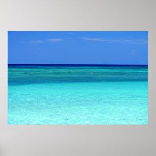 Póster Paraíso verde azul