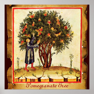 PÓSTER PARCHE ANTIGUO DE ÁRBOL POMEGRANADO