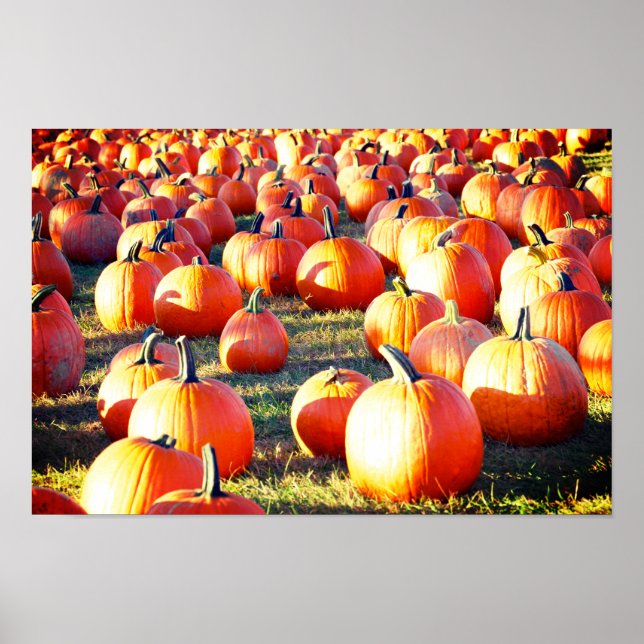 Póster Parche de calabaza (Frente)