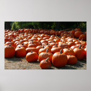 Póster Parche de calabaza Fotografía de la cosecha otoñal