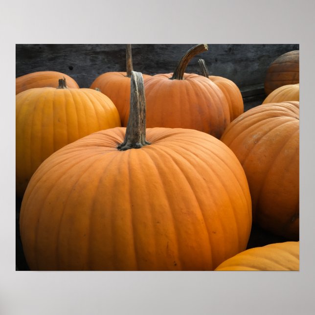 Póster Parche de Calabazas Naranjas de la Cosecha de Otoñ (Frente)