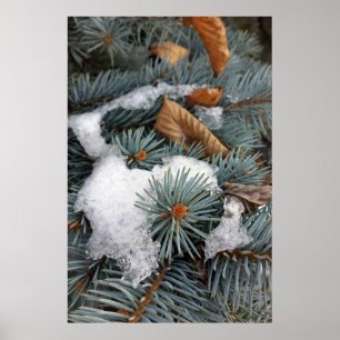 Póster parche de nieve