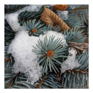 Póster parche de nieve