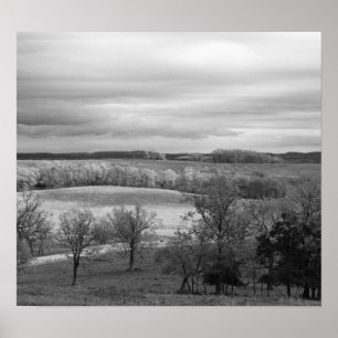 Póster Parches de Sol