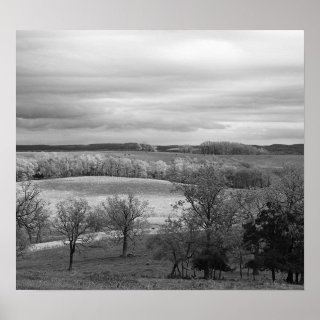 Póster Parches de Sol (Frente)