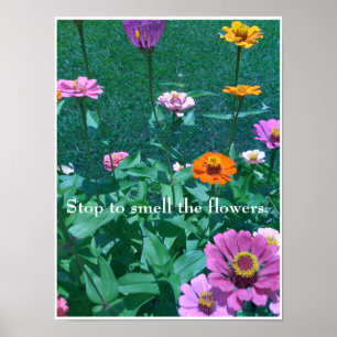 Póster Pare para oler las flores