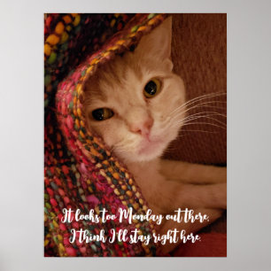Póster Parece demasiado lunes, gatito lindo debajo de la