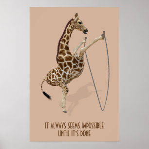 Póster Parece siempre imposible hasta que haya hecho