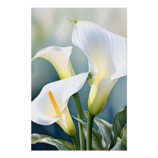 Póster Pared Botánica Acuarela de Lirio de Calla Blanco E