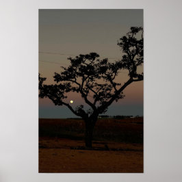 Póster Pared de puesta de sol de árbol Fotografía de natu