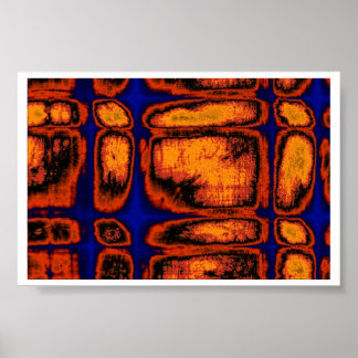 Póster paredes de celda