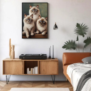 Póster Pareja Adorable de Ragdoll Kittens Gato Dulce