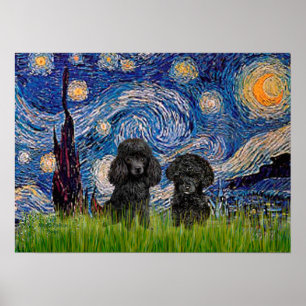 Póster Pareja de caniches (negros) - Noche estrellada