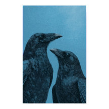 Pareja de cuervos sobre fondo azul