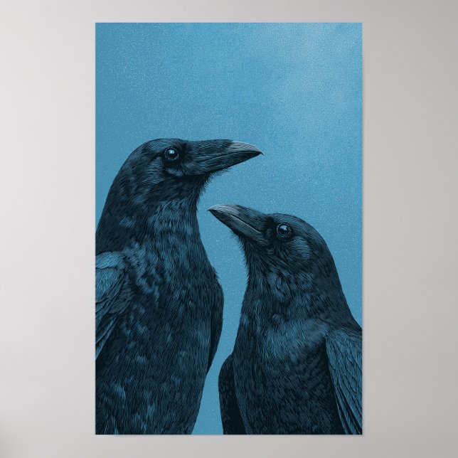 Póster Pareja de cuervos sobre fondo azul (Frente)