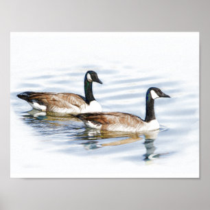 Póster Pareja de Geese