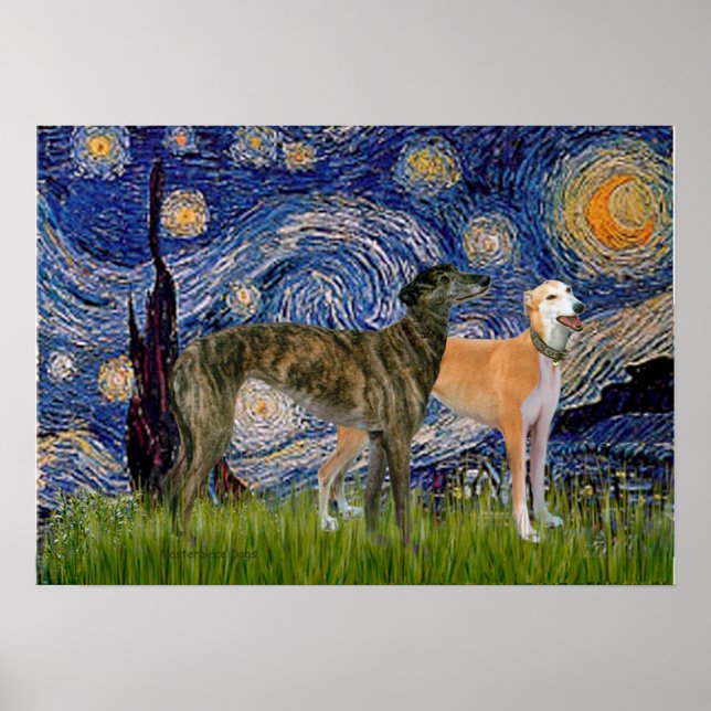 Póster Pareja de Greyhound - Noche estrellada (Frente)