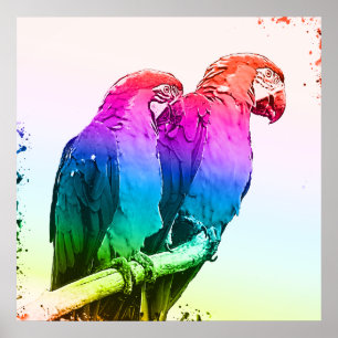 Póster Pareja de loro colorida