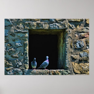 Póster Pareja de palomas en la ventana del castillo