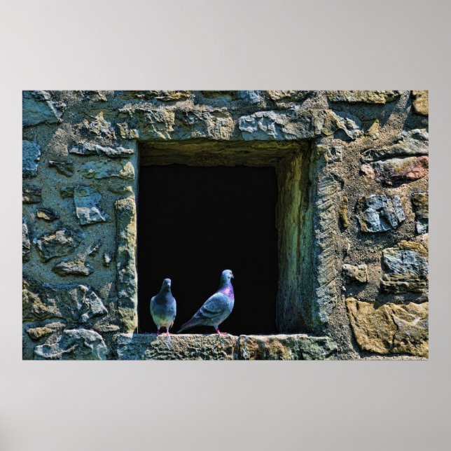 Póster Pareja de palomas en la ventana del castillo (Frente)