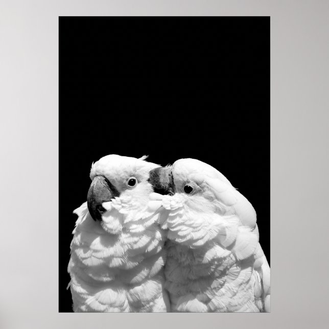 Póster Pareja de paraguas (Frente)