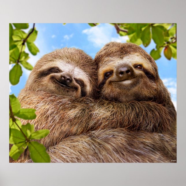 Póster Pareja de perezosos (Frente)