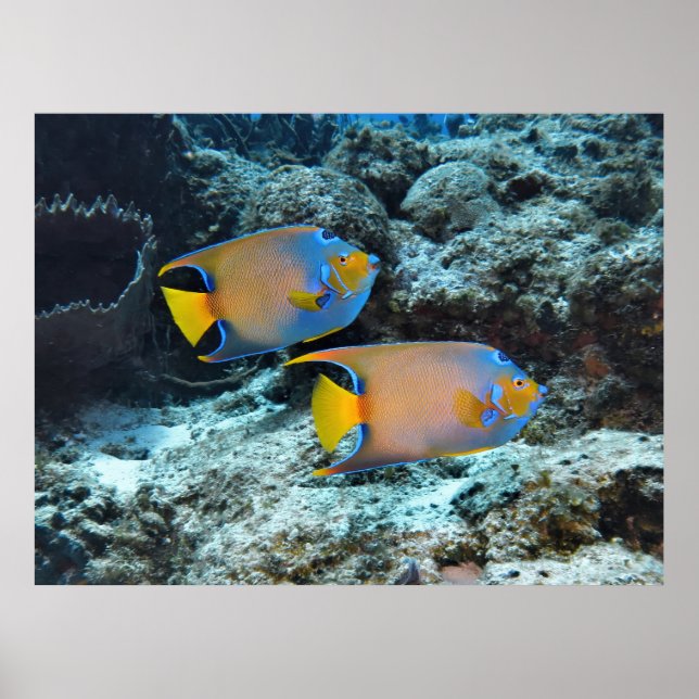 Póster Pareja de Reinas (Frente)