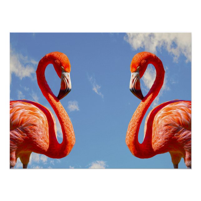Póster Pareja flamingo caribeña (Anverso)