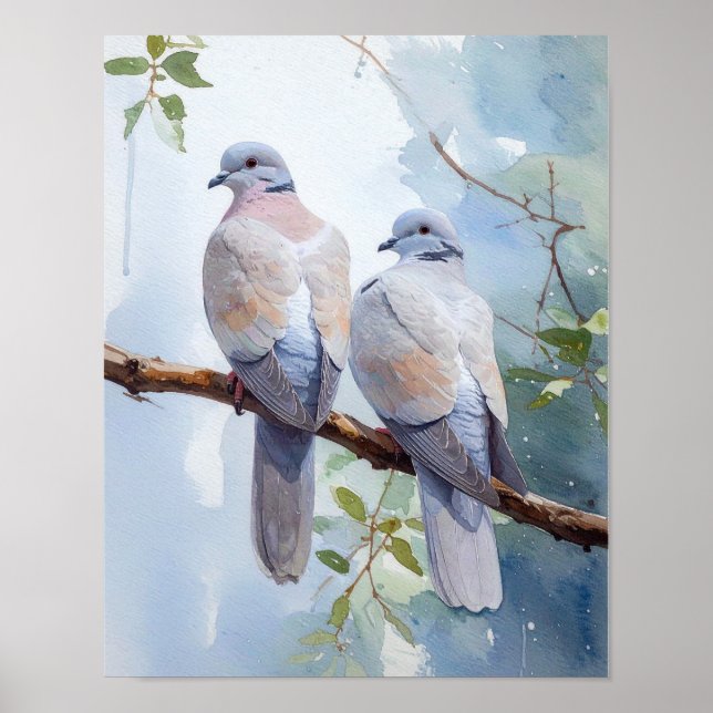Póster Pareja Pacífica de Palomas (Frente)