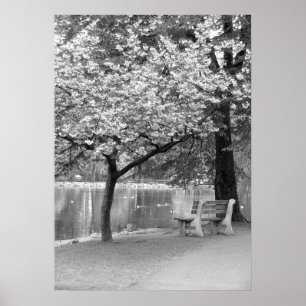 Póster Park Bench