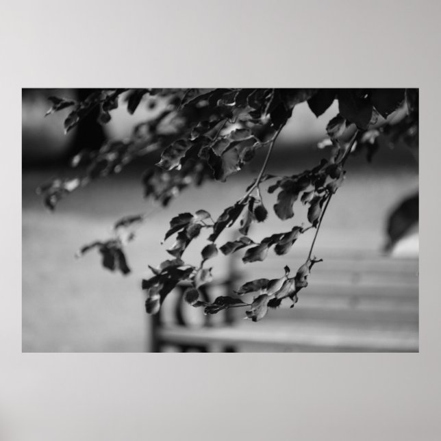 Póster Park Bench (Frente)