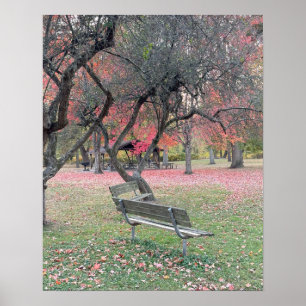 Póster Park Bench en el Poster de otoño