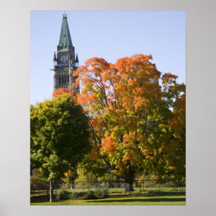 Póster Park beside the Parliment Building in Ottawa,