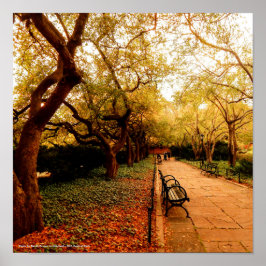 Póster Park, NYC Central Park,