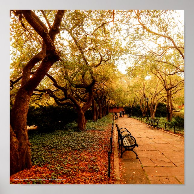 Póster Park, NYC Central Park, (Frente)