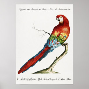 Póster Paro