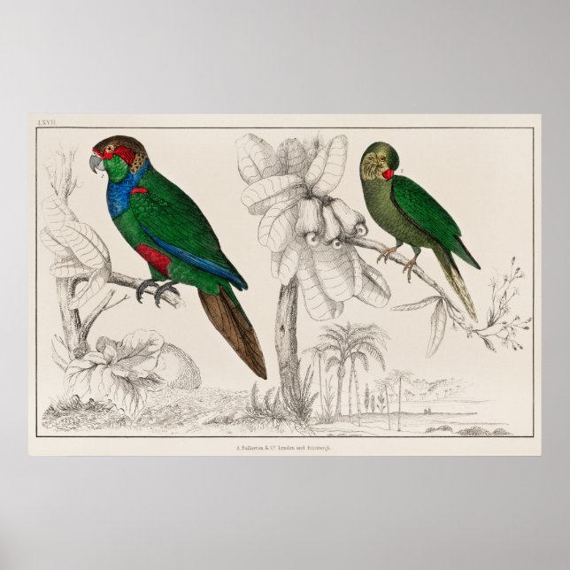 Póster Paro (Frente)