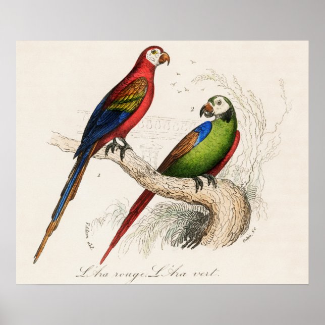 Póster Paro (Frente)