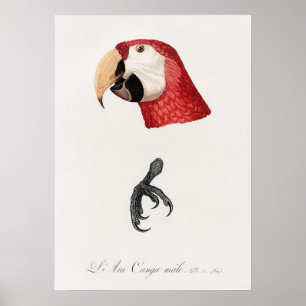 Póster Paro