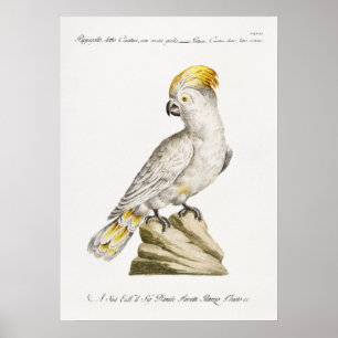 Póster Paro