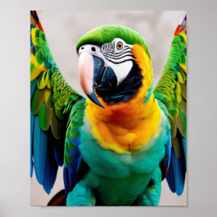 Póster Paro