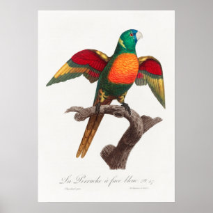 Póster Paro