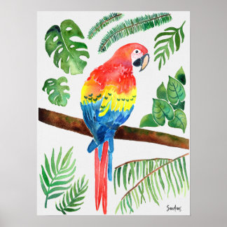 Póster Paro acuático