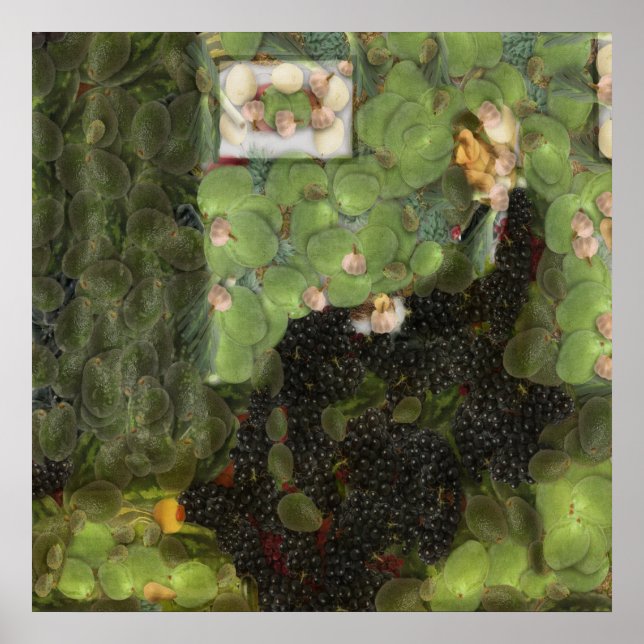 Póster Parodia de Bella Artes de uvas agrias (Frente)